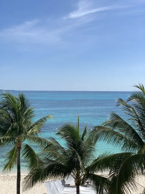 Palms along the Cancún coast with the sea beyond